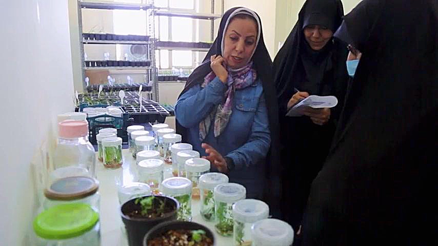 برش زنان و خانواده دومين سفر ا...