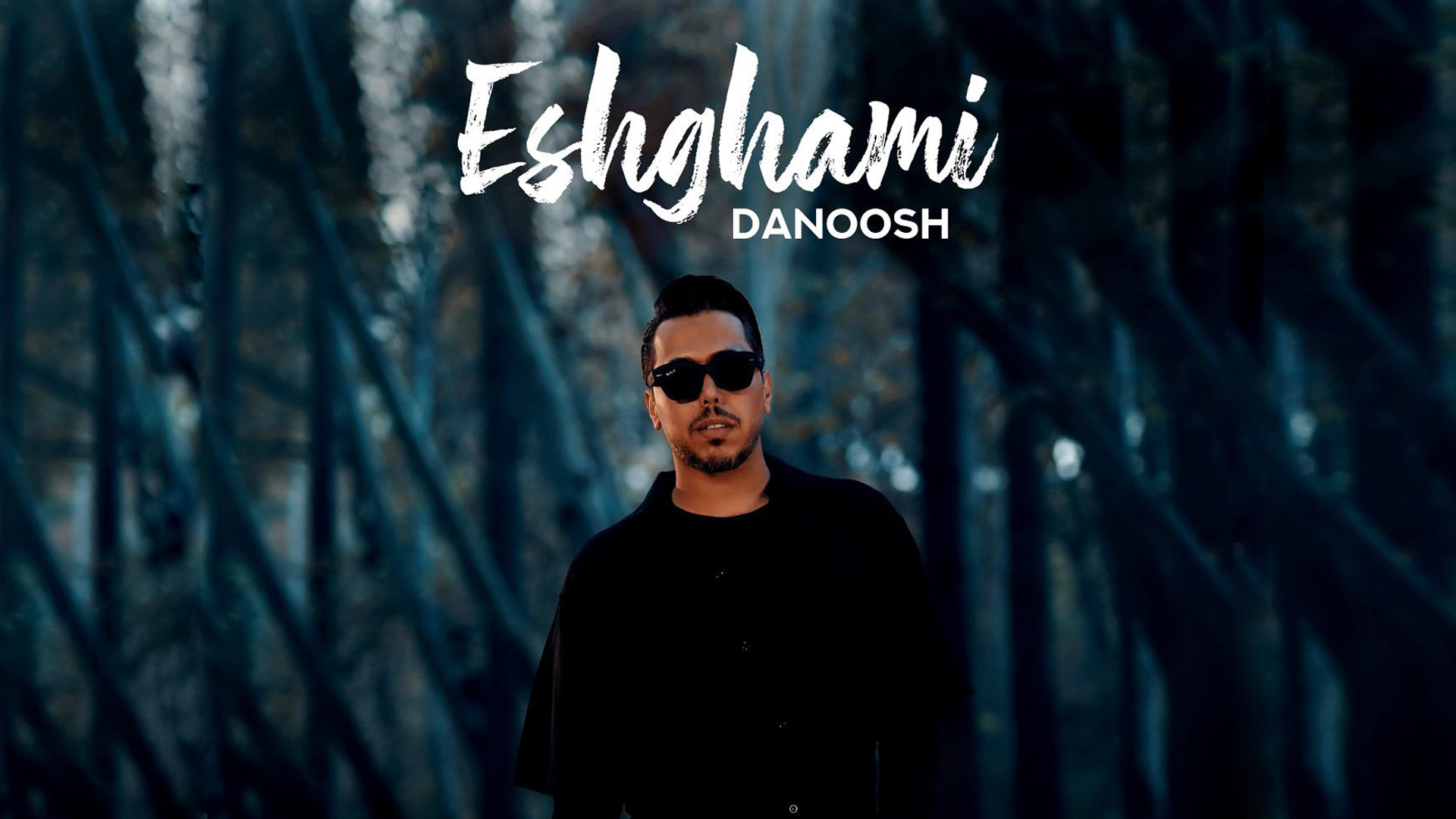 آهنگ جدید دانوش به نام عشقمی