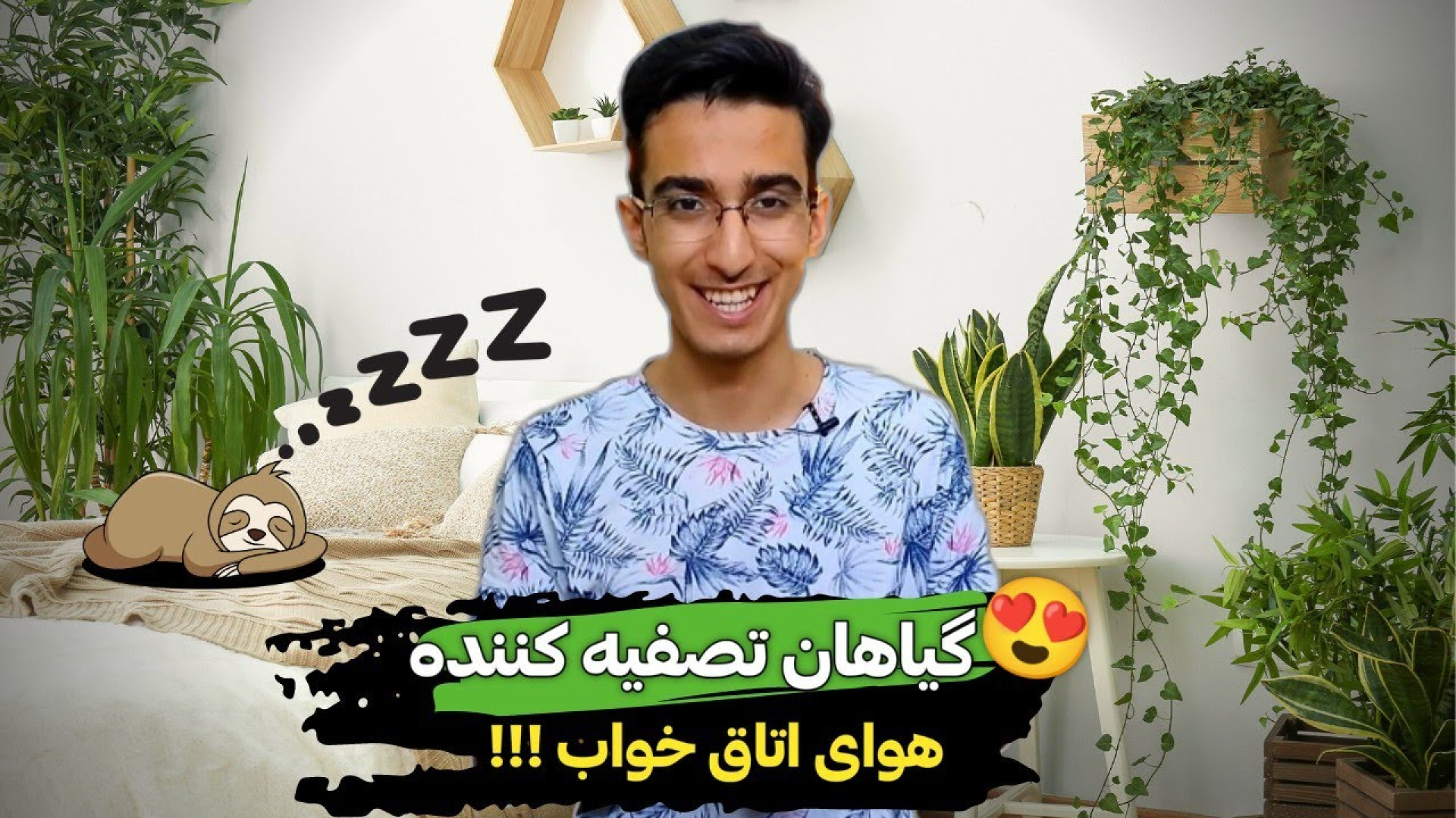 ۵ گیاه که باید در اتاق خواب خو...