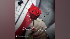 عاشقانه شاد|عاشقانه|کلیپ زیباب...
