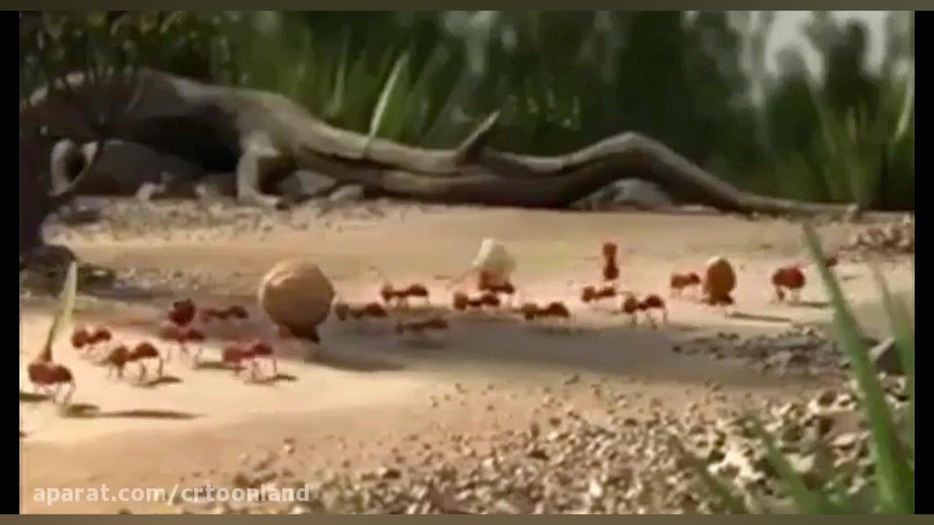 دوبله بامزه ی من ۲