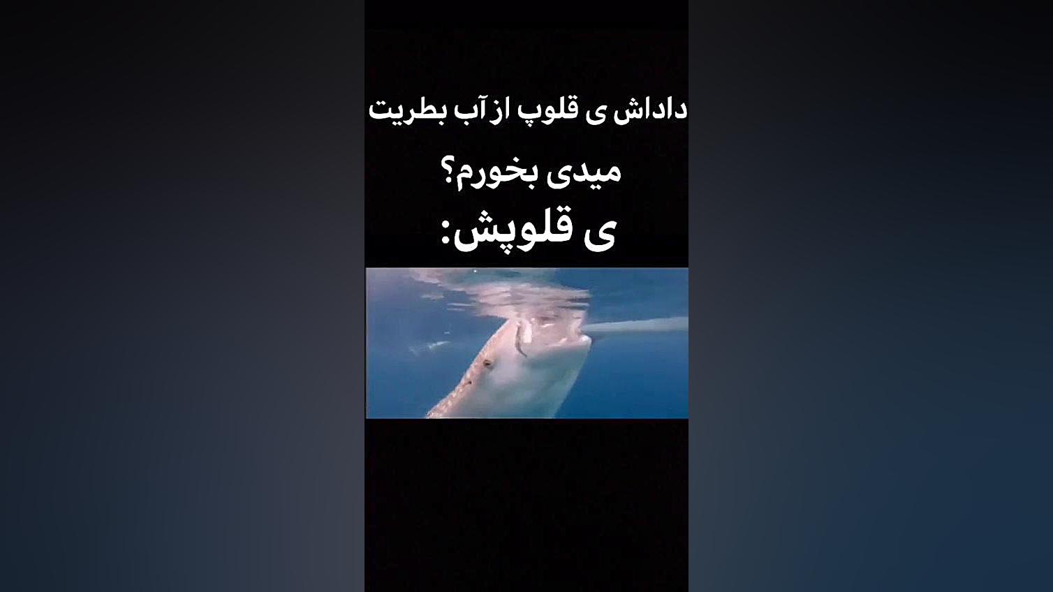 حق های مدرسه