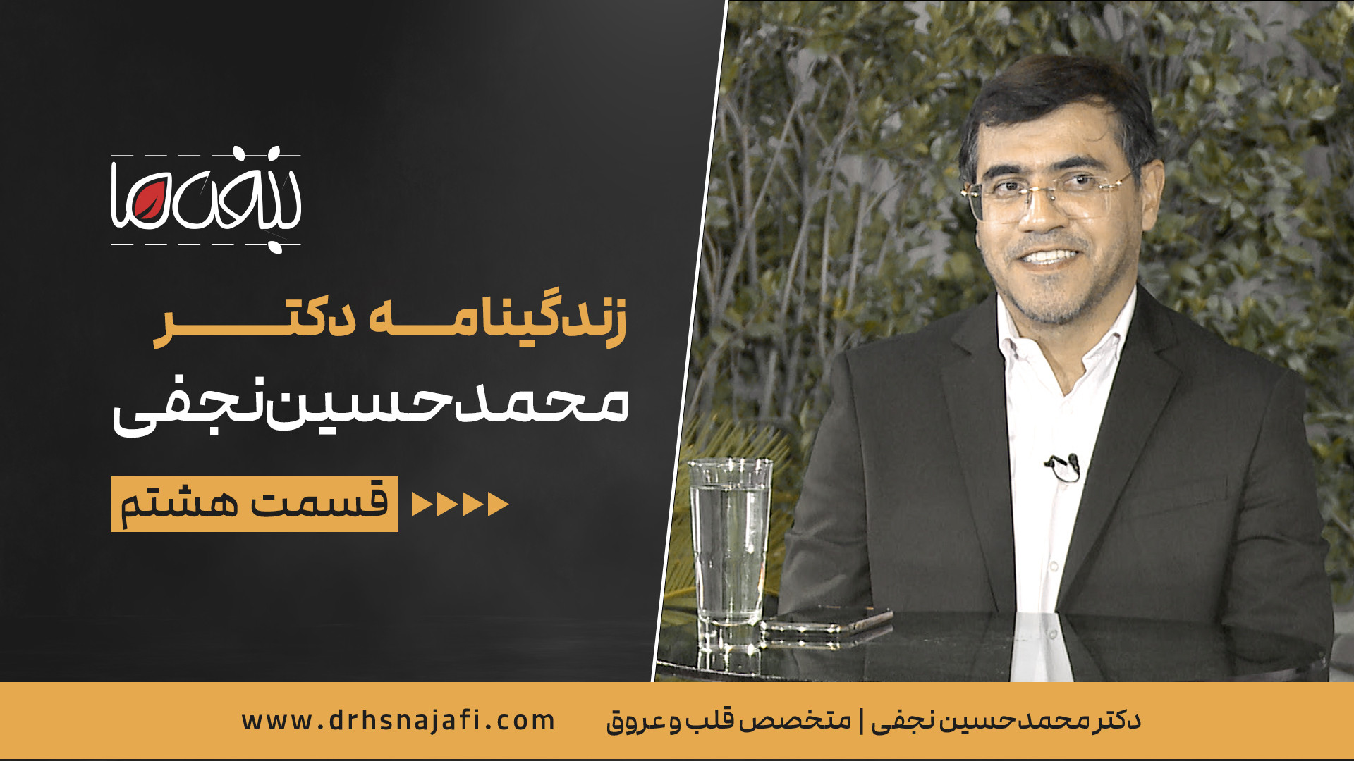 زندگینامه دکتر محمدحسین نجفی