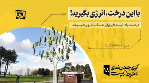 با این درخت، انرژی بگیرید! با این درخت، انرژی بگیرید!