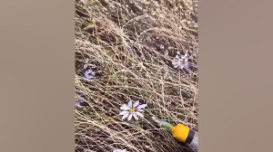 نقاشی تزریقاتی!  بخش سوم