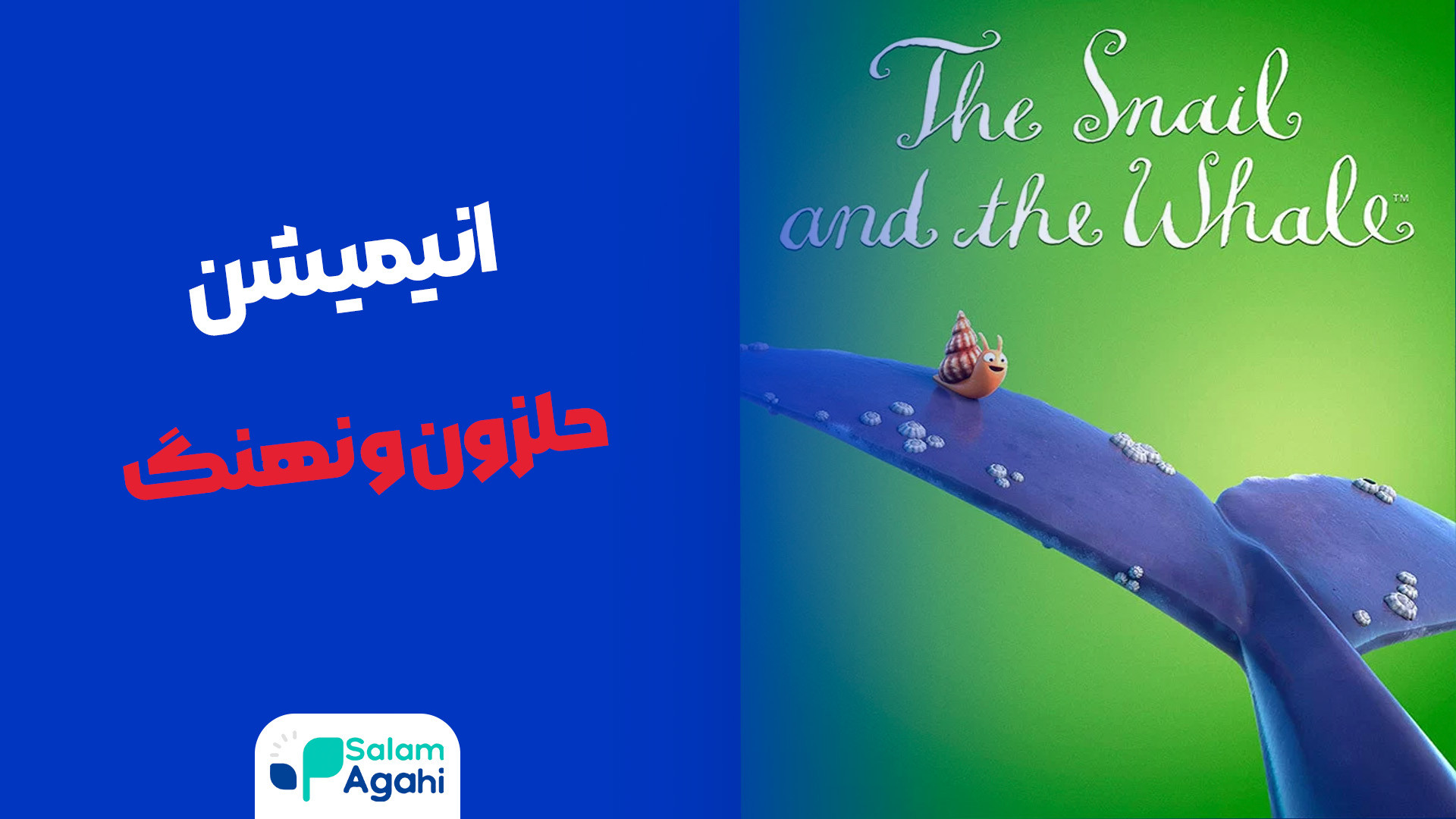 انیمیشن | حلزون و نهنگ | دوبله زمان1534ثانیه