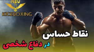 نقاط حساس بدن و آسیب زا در دفا...
