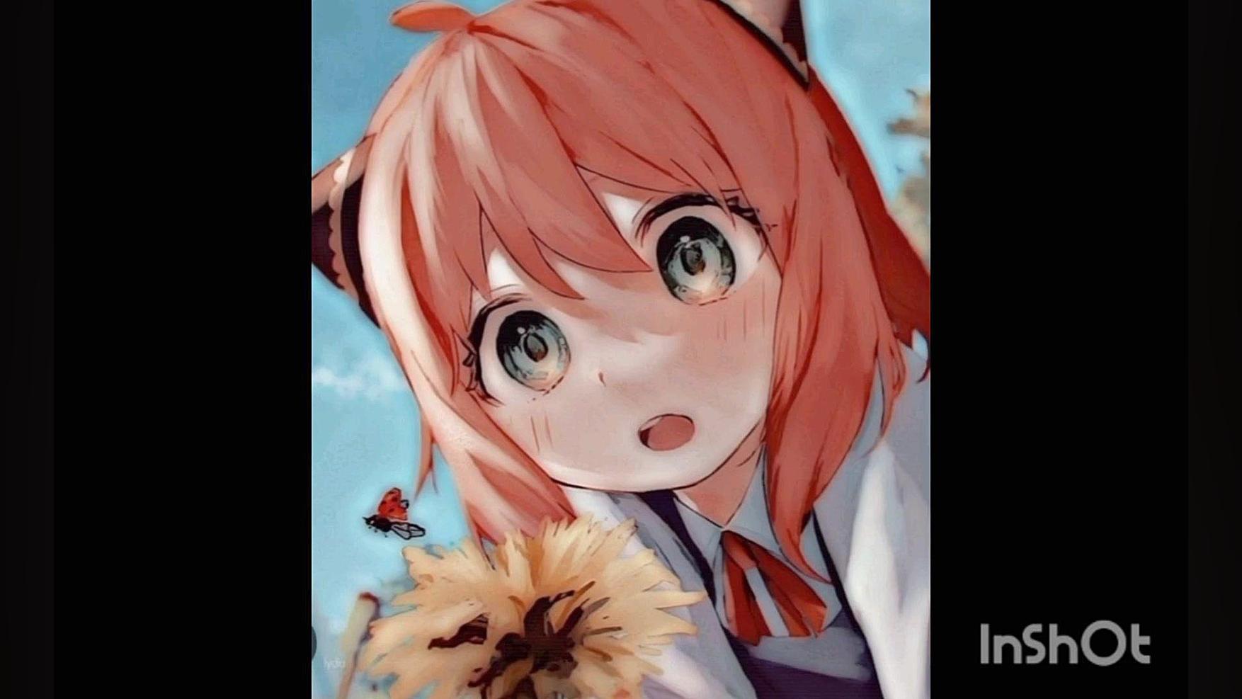 آنیا دامیان سازنده.Anisa