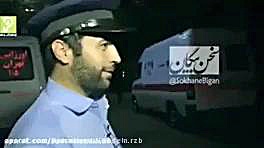 گربه سمه نگاه کن واقعا ضرر نمی...