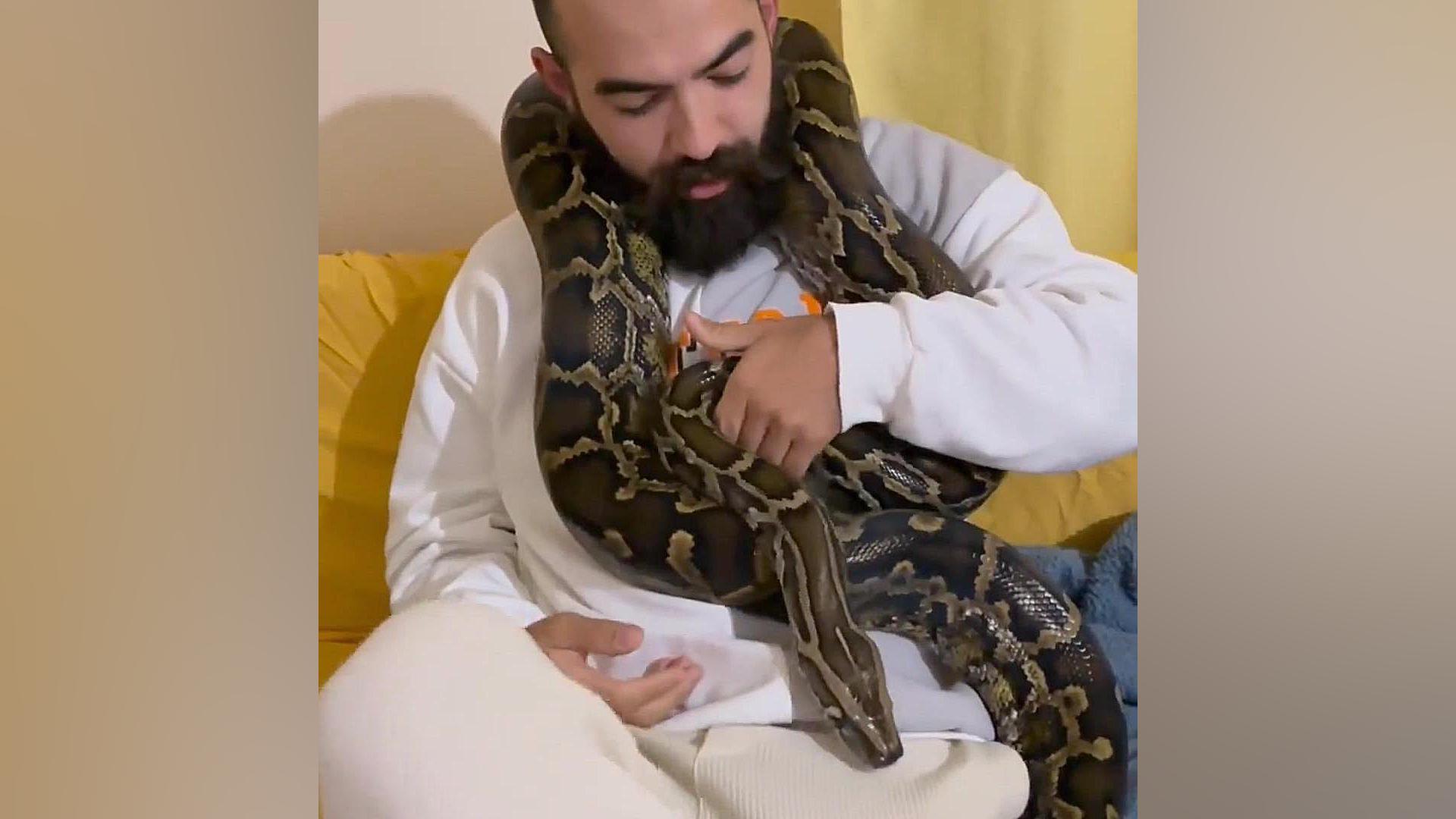 مردی که با این مار بزرگ زندگی...