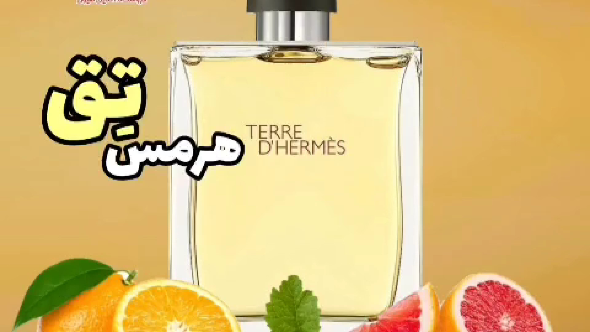 عطر ادکلن تق هرمس