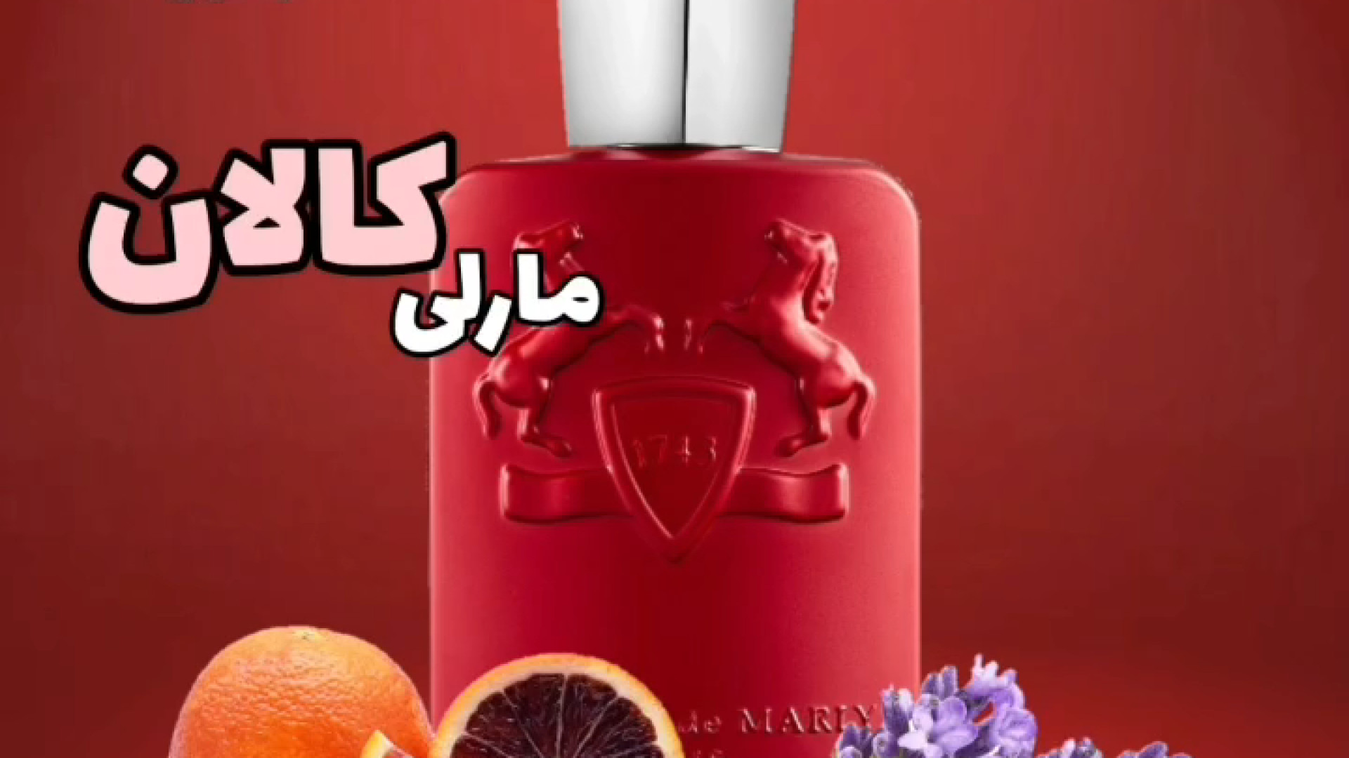 مارلی کالان کیلان