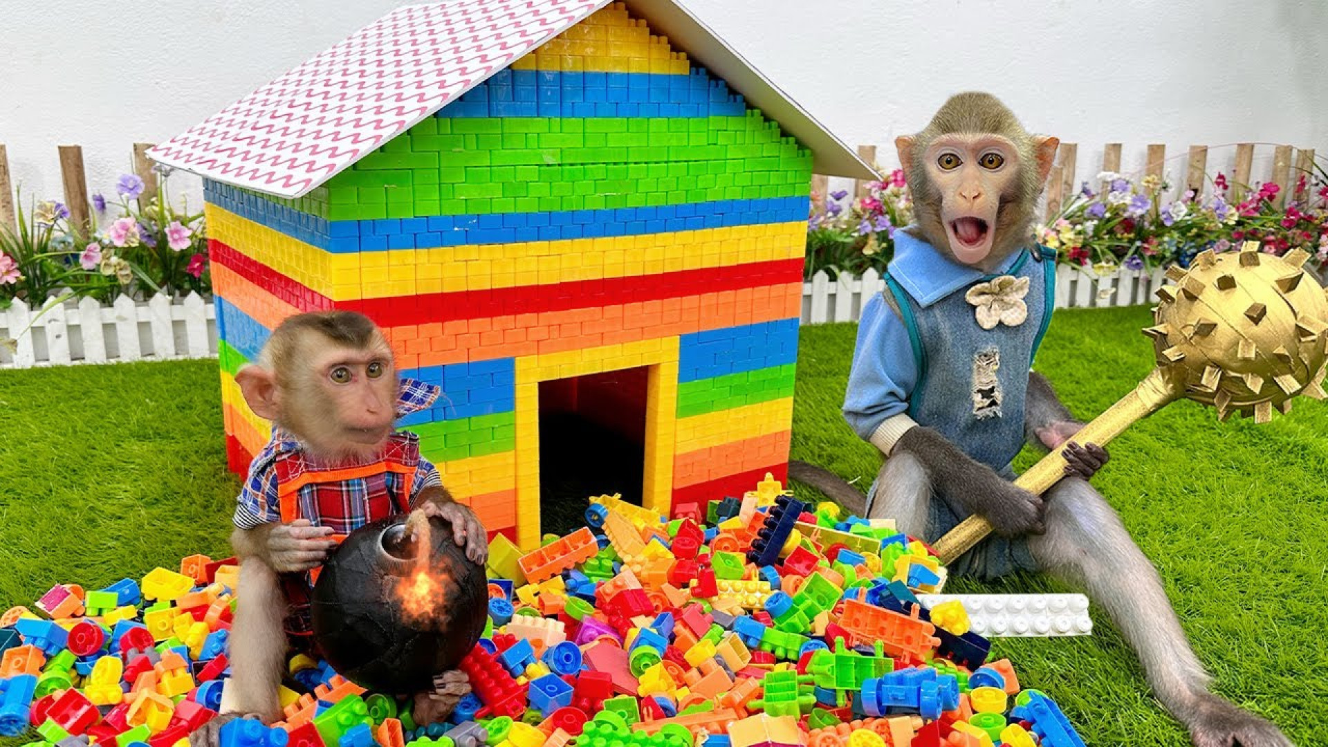 ساخت خانه برای بچه میمون  برنا...