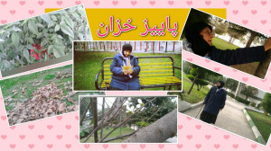 در گذر عمر  پاییز خزان برگ اپا...
