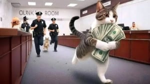 طنز جدید گربه ها، طنز حیوانات...