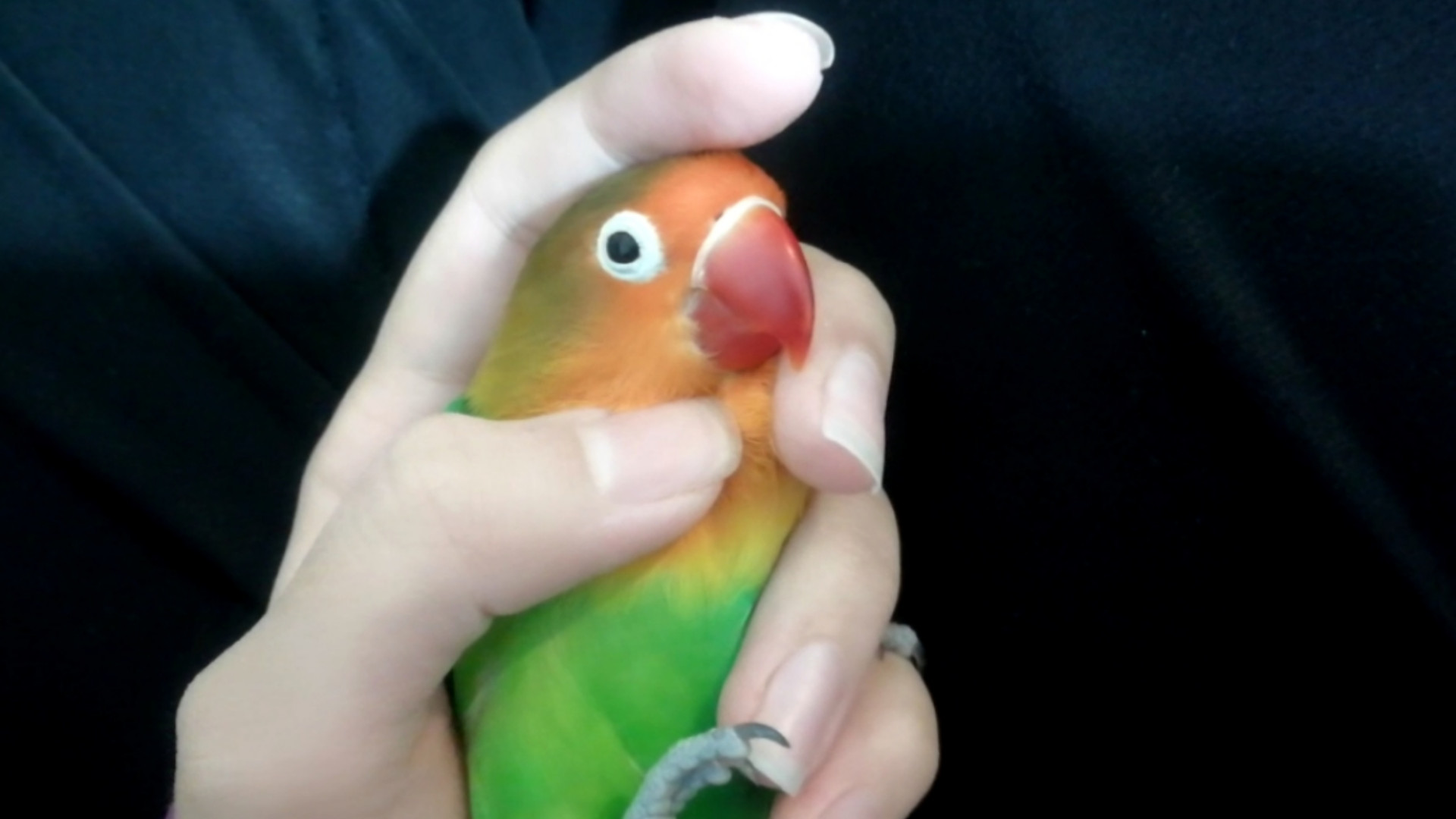 بَشِه منه فداش بشم منه ! قربون...