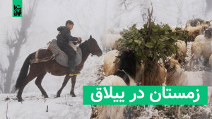 سفر به دل زمستان