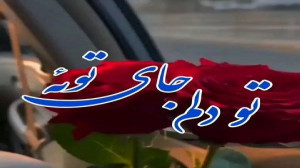 کلیپ زیبابرای وضعیت|عاشقانه شا...