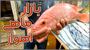 ایرانگردی | بازار ماهی و میگو...