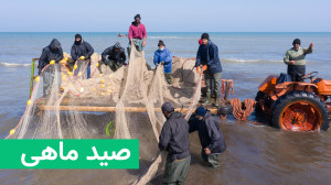 صید ماهی در پره کیاشهر