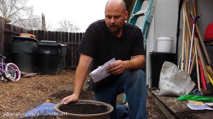 روش کاشت زعفران در خانه