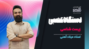 نکات خفن و کنکوری دستگاه عصبی