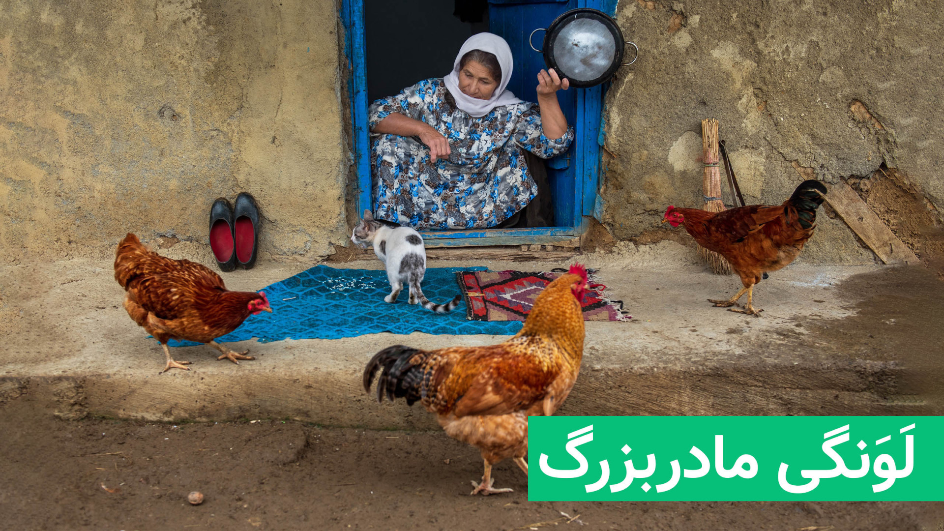 مستند آشپزی در روستا  لذت زندگ...