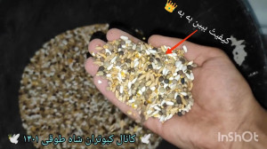 قیمت و کیفیت دان