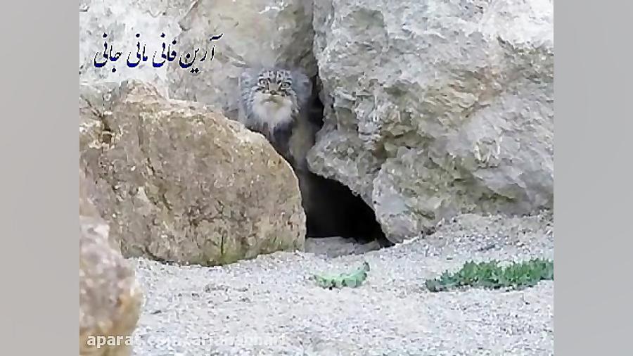 وقتی اینترنت خونه قطع میشه