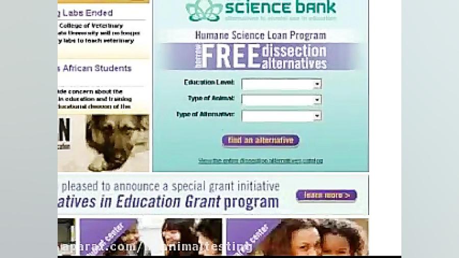 حقوق حیوانات چیست؟