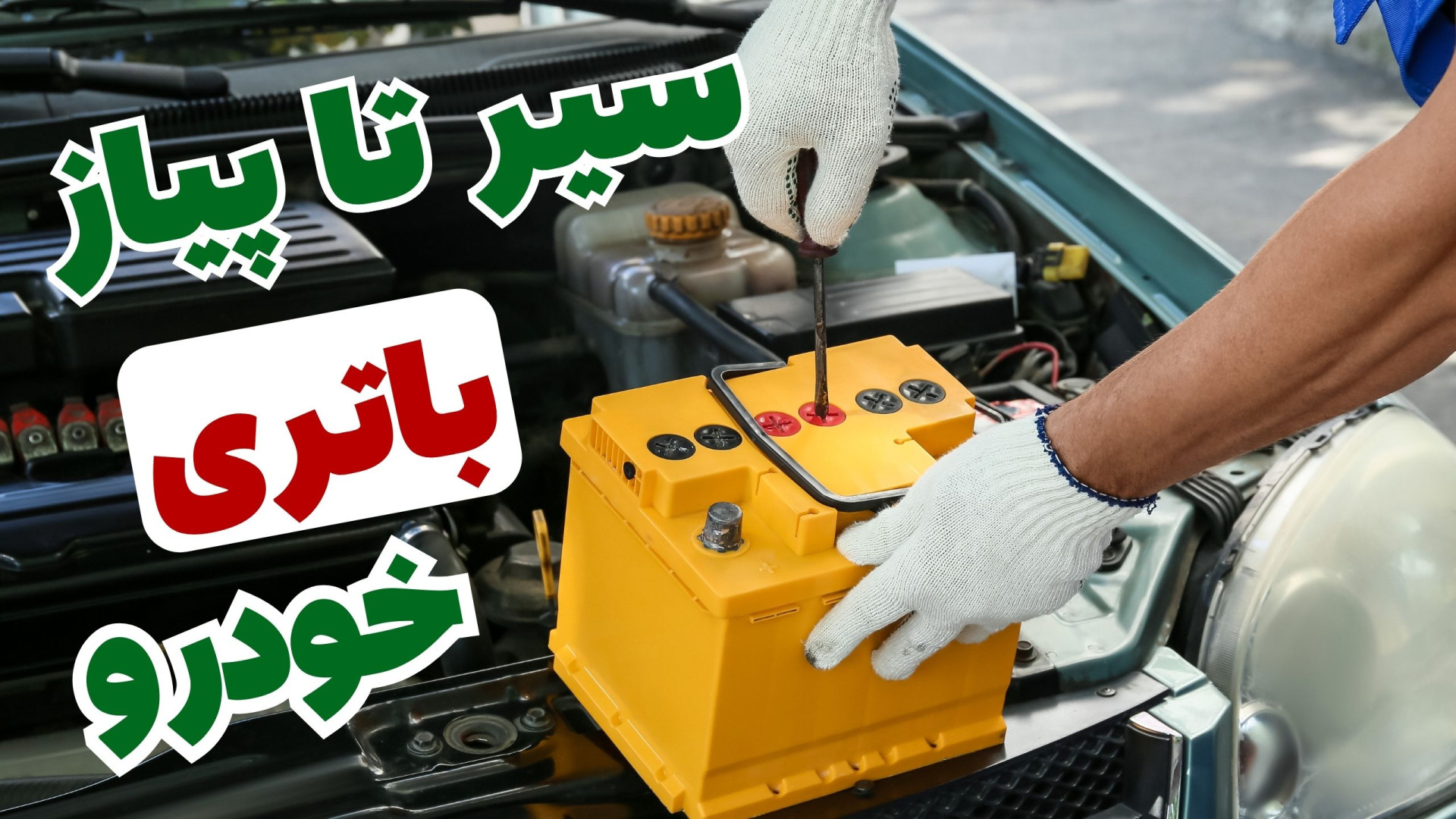 سیر تا پیاز آنچه باید درباره ب...