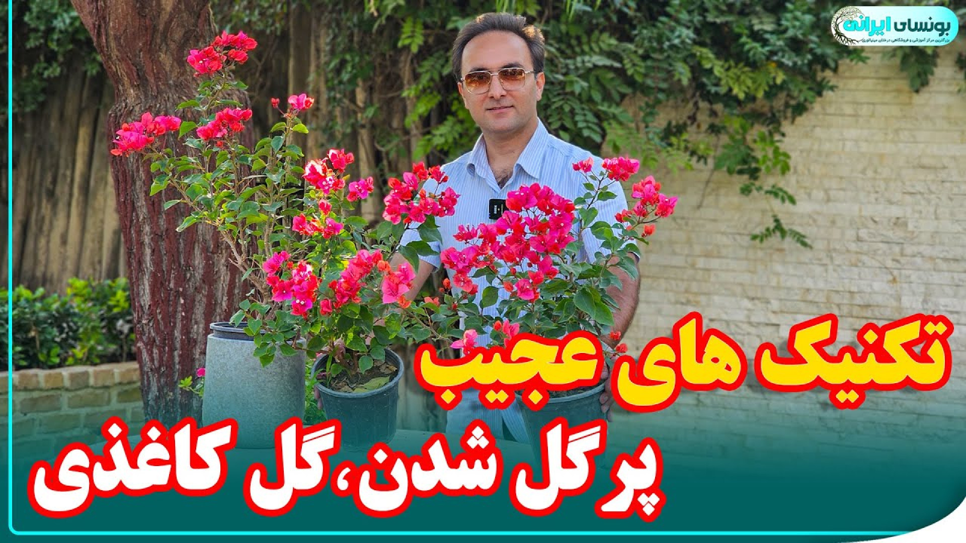 تکنیک های عجیب پرگل شدن، گل کا...