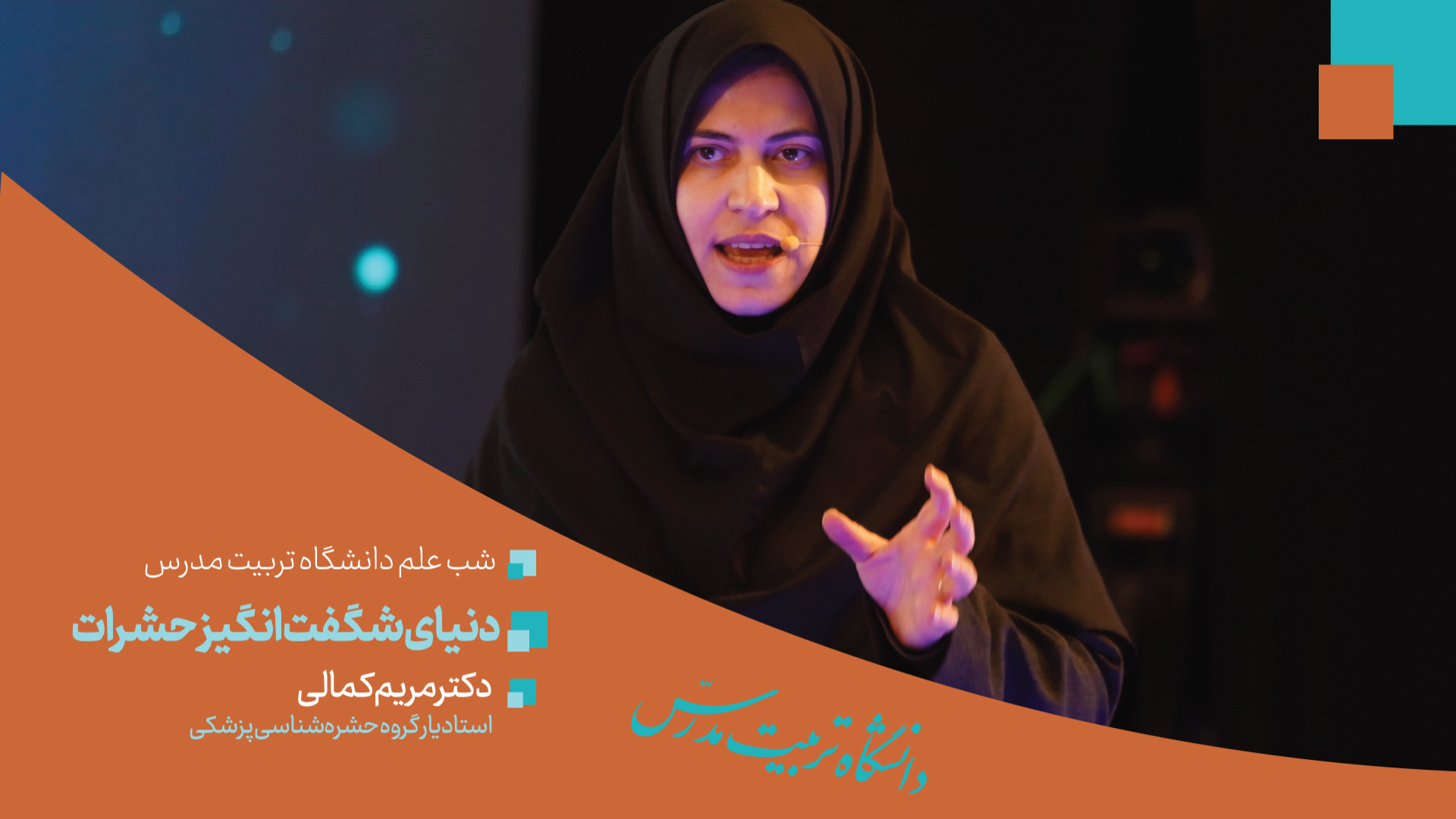 دنیای شگفت‌انگیز حشرات