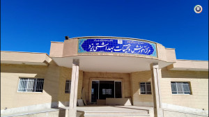 تامز لایف 41: معرفی امکانات وا...
