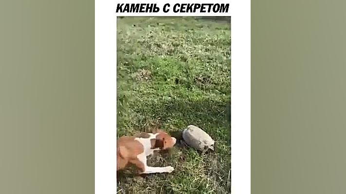 اینو یادت نره ها