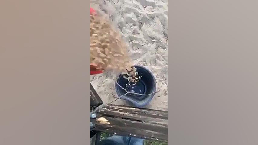 کلیپ خنده دار