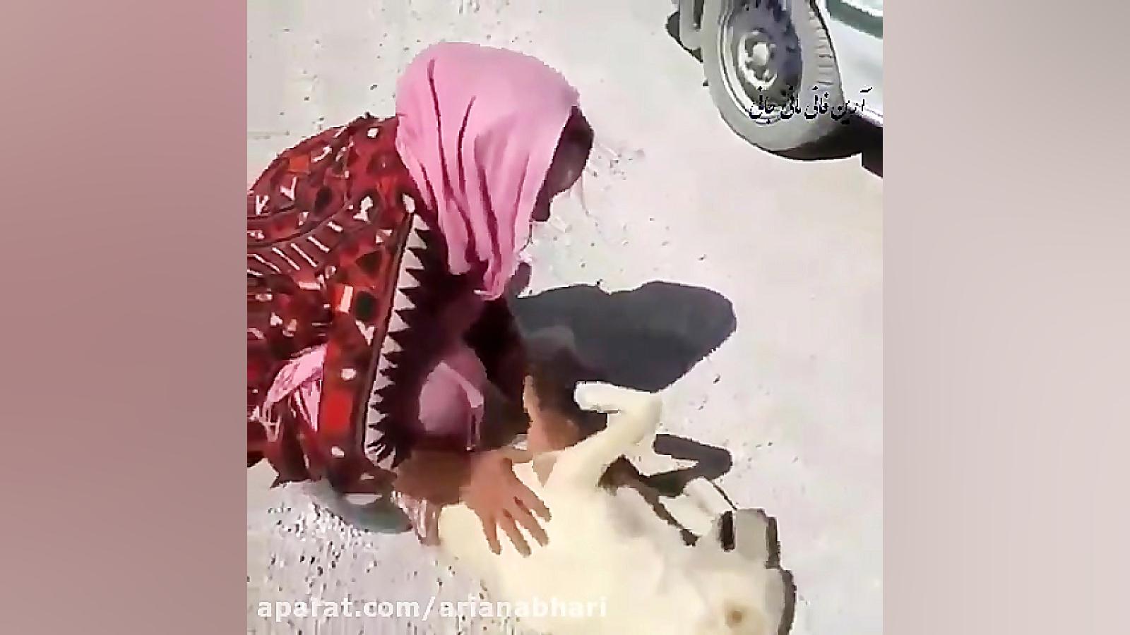 ذوق کردن سگ نسبت به صاحبش