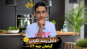 چرا گلم رشد نمیکنه؟