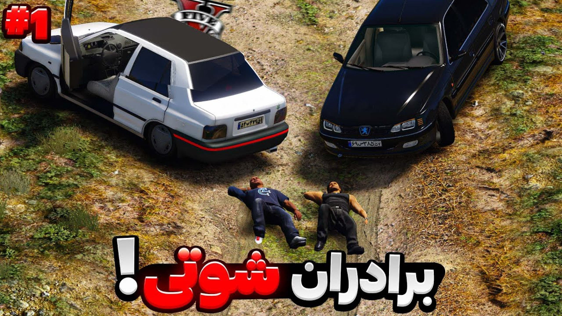 پارس ای ال ایکس خریدم و وارد ب...