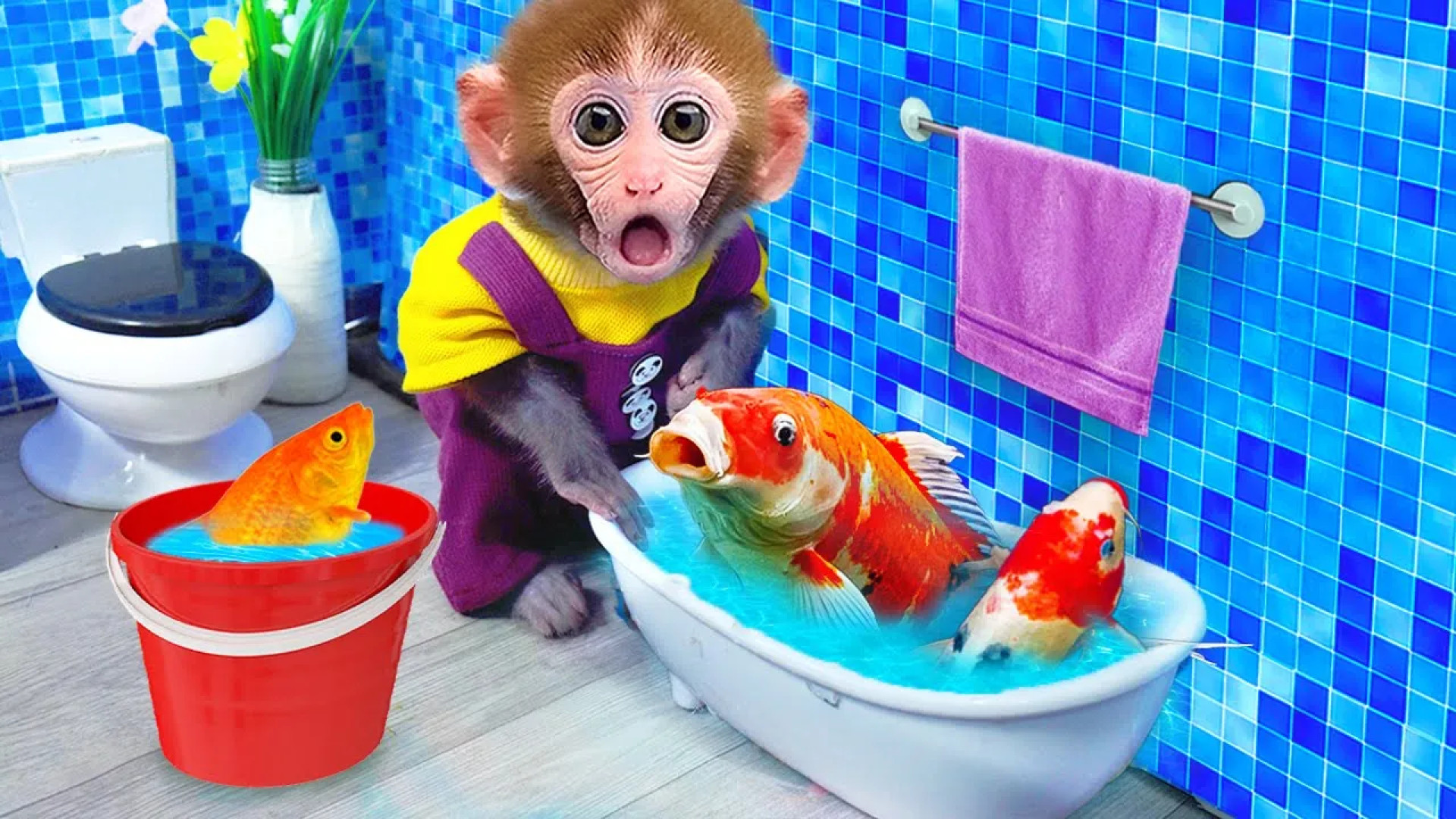 Funny Monkey - Baby Monkey Goes Koi Fishing Very Funny 