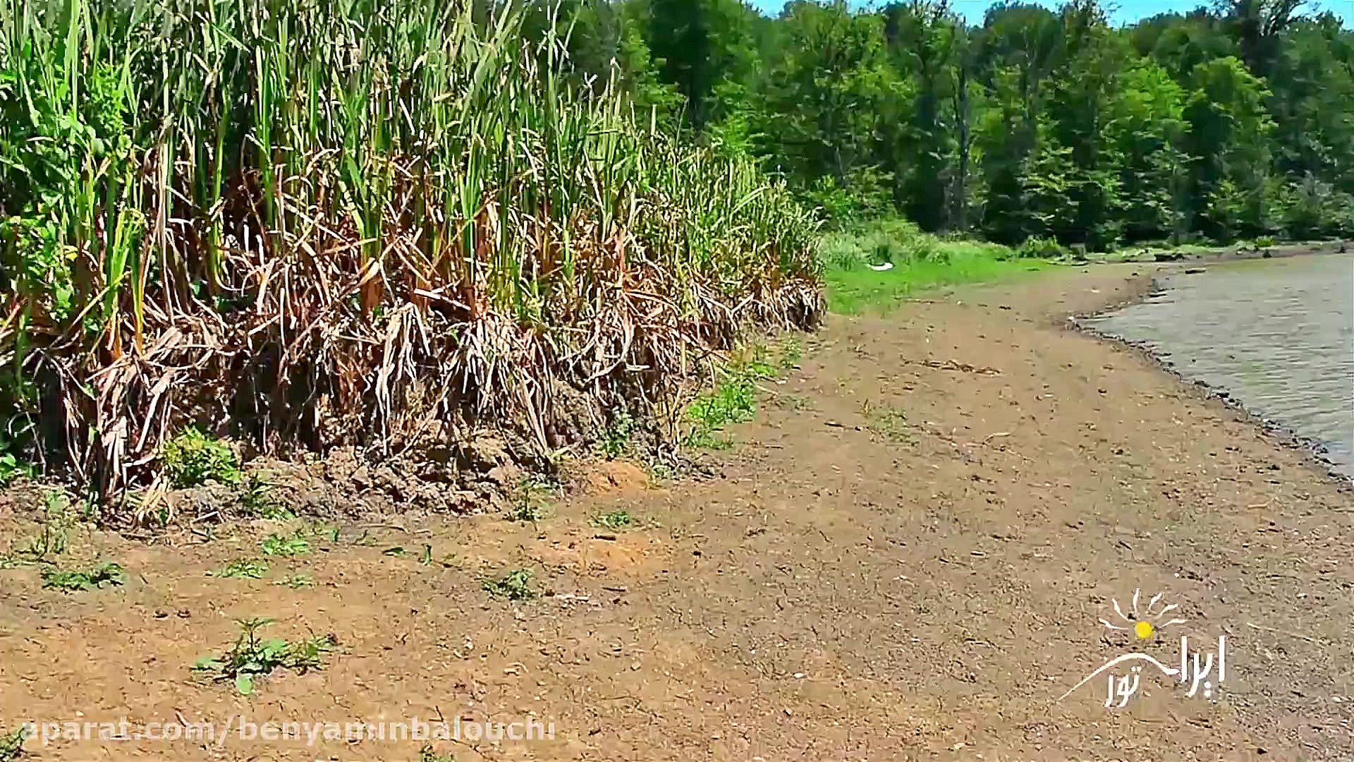 ایران تور دریاچه الندان