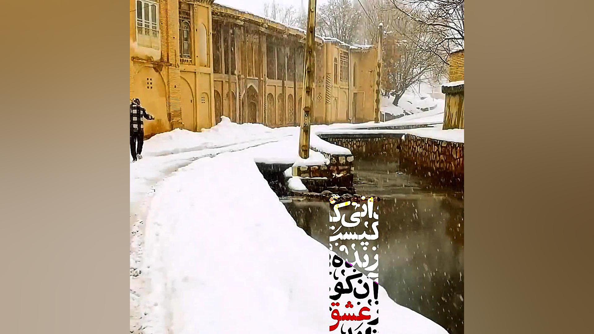 دانی که کیست زنده آن کو ز عشق زاید