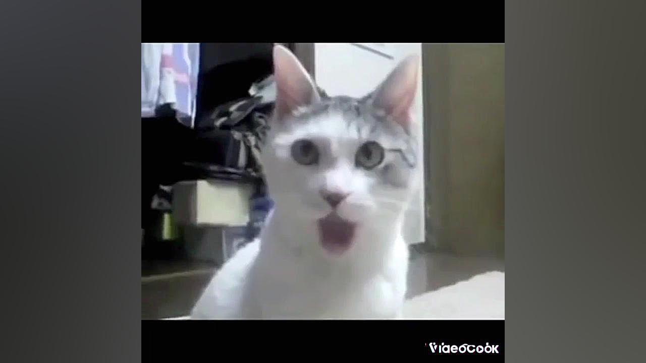 کلیپ خنده دار