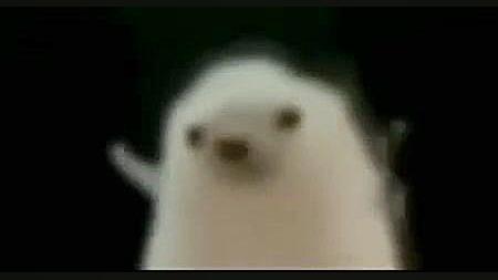 منو در روبیکا دنبال کنید