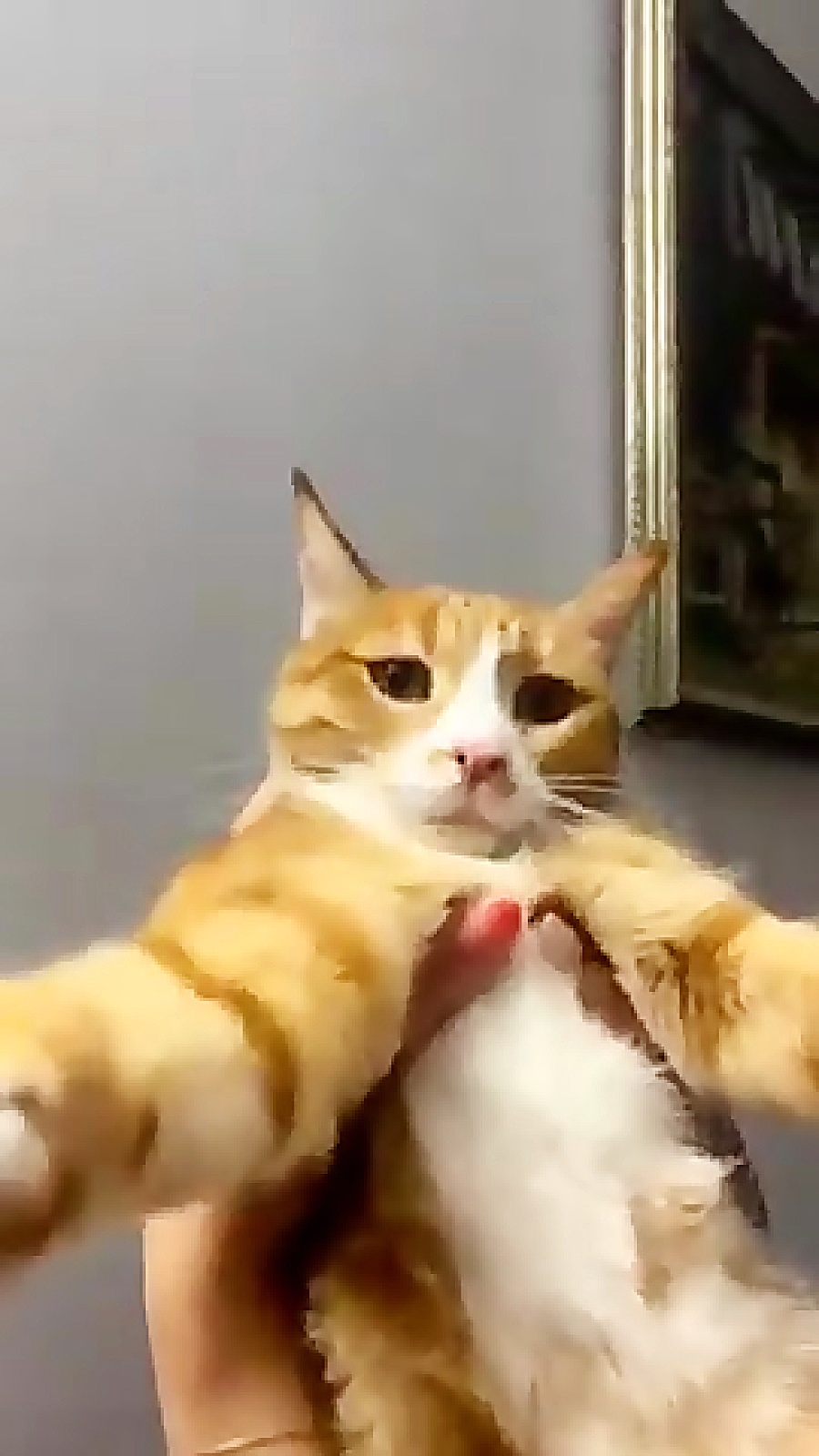 فیلم خنده دار بشه ی منه