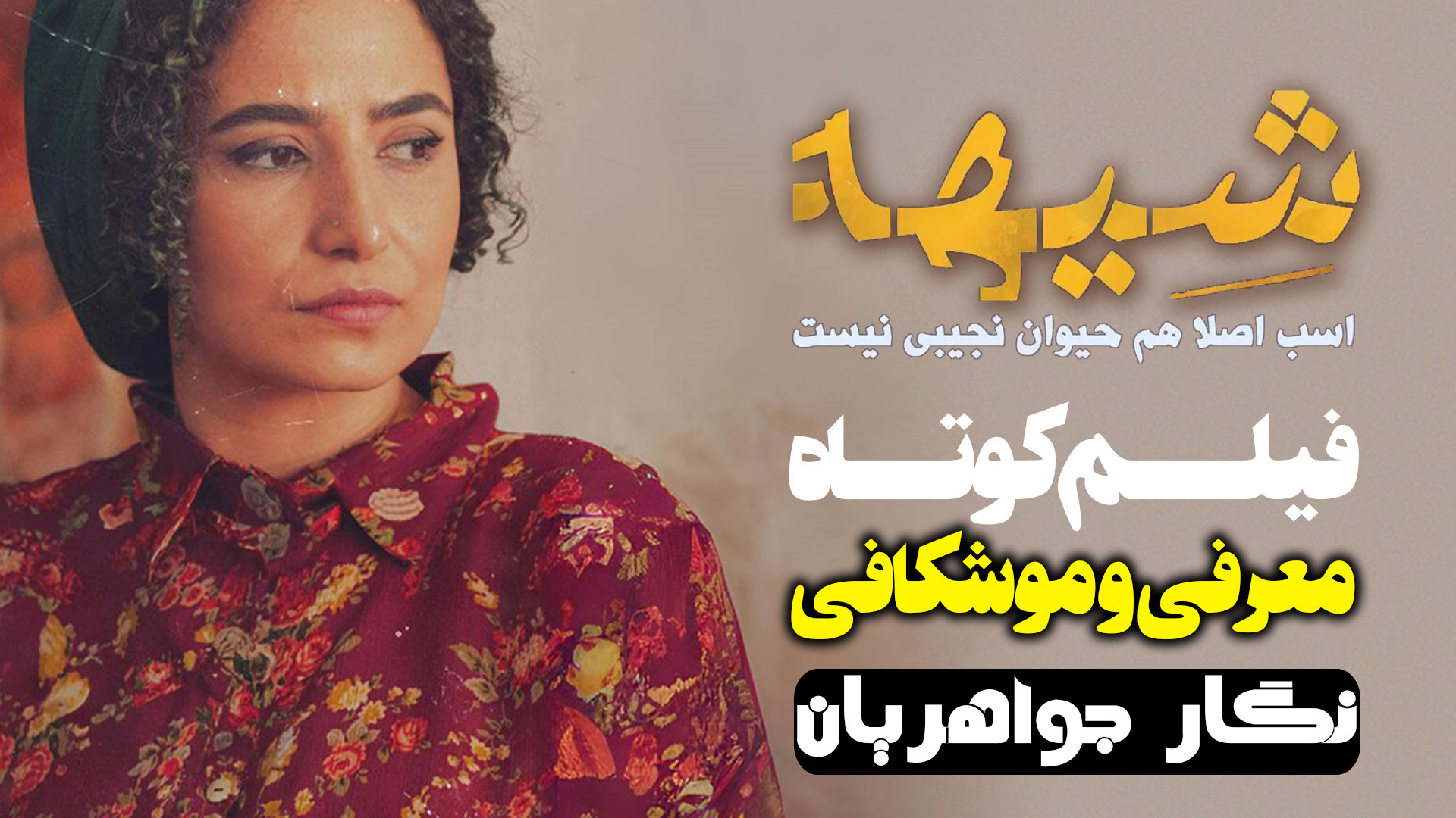 معرفی و موشکافی فیلم کوتاه شیهه با بازی نگار جواهریان زمان350ثانیه