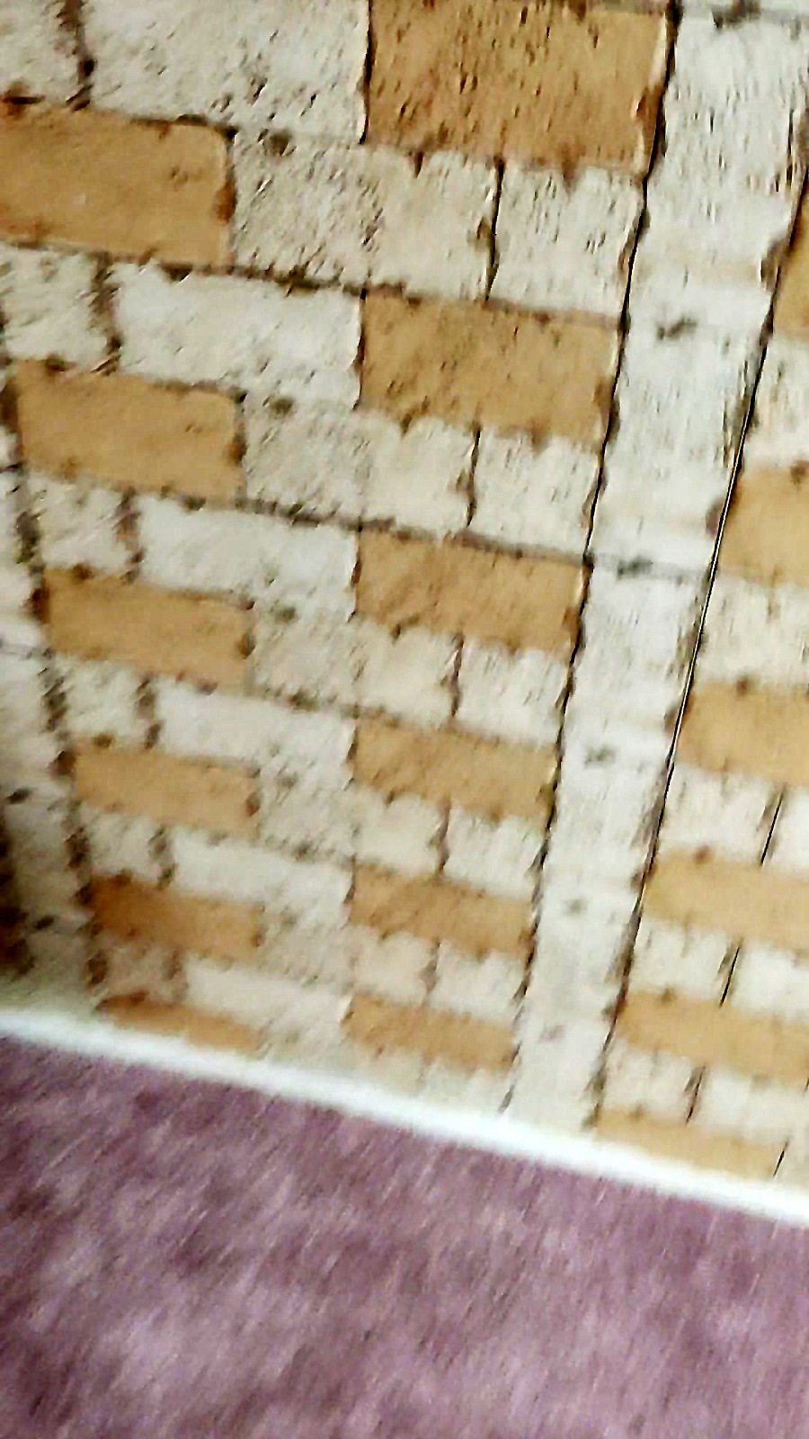 سلاطین چهارروستایی در کنار هم