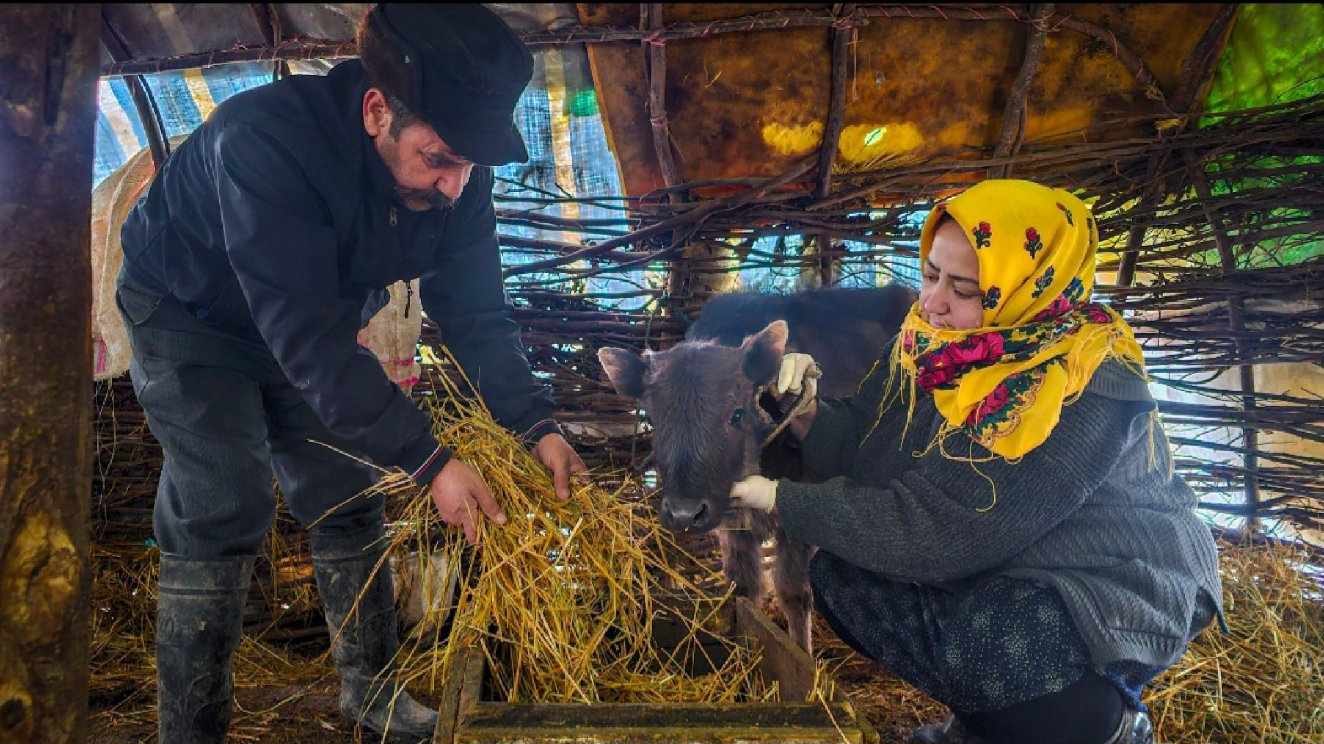 بحث خانواده روستایی برای خرید...