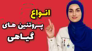 پروتئین های گیاهی چیا هستن؟ می...