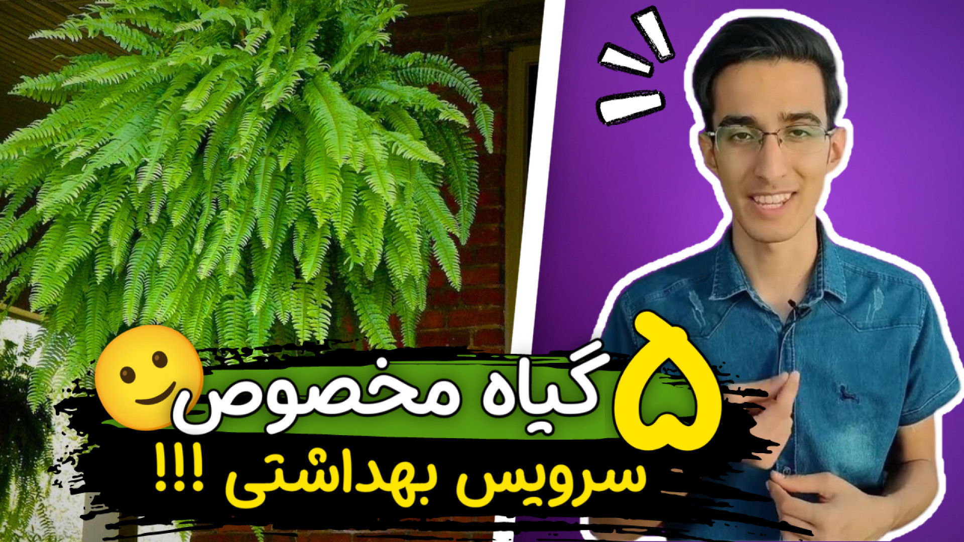 این 6 گیاه رو بزار داخل سرویس...